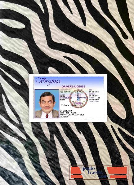 USA Virgina DL version 2 photolook FRONT PSD template